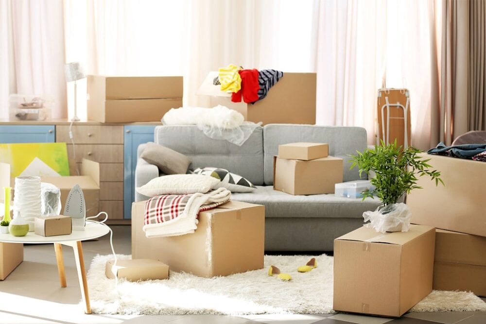 Expert Packers and Movers in Dubai
